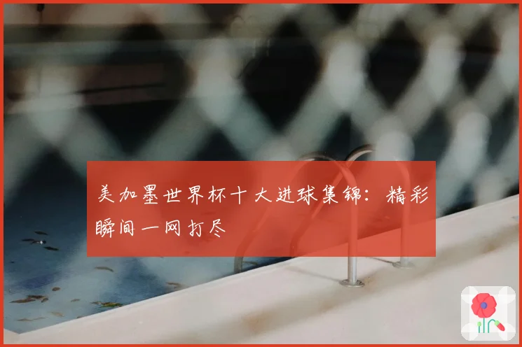 美加墨世界杯十大进球集锦：精彩瞬间一网打尽